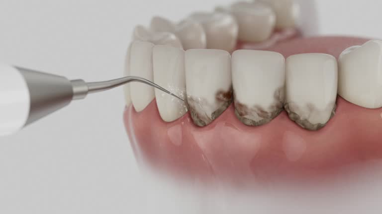 Reliable Dental contractor in Vanderburgh County County, IN by Dentist Open Now